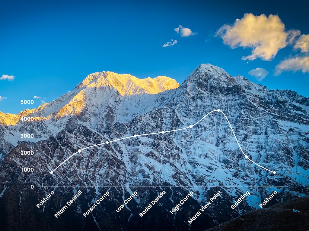 Mardi Himal Trek Elevation Infographic