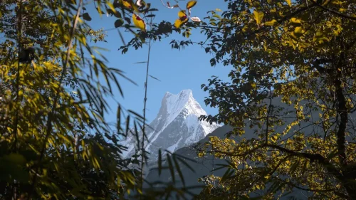 Beautiful panorama of Machhapuchhre