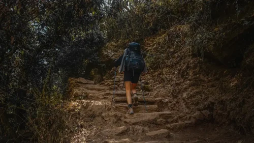 En Route to Lama Hotel from Syabru Besi