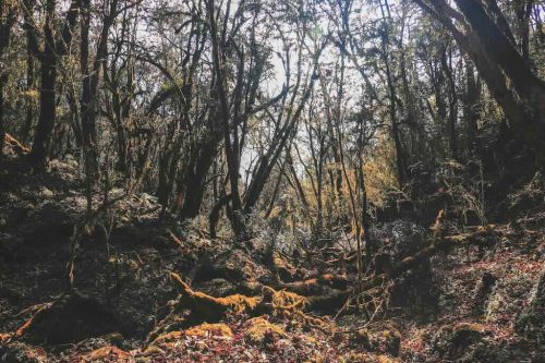 En eoute to Low Camp from Sidhing