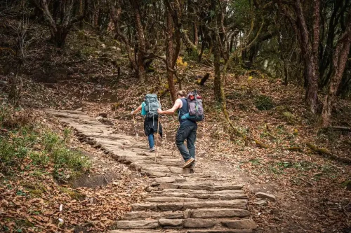 En route to Mardi Low Camp